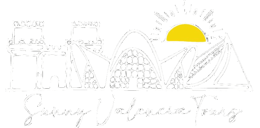 logo sunnyvalenciatours