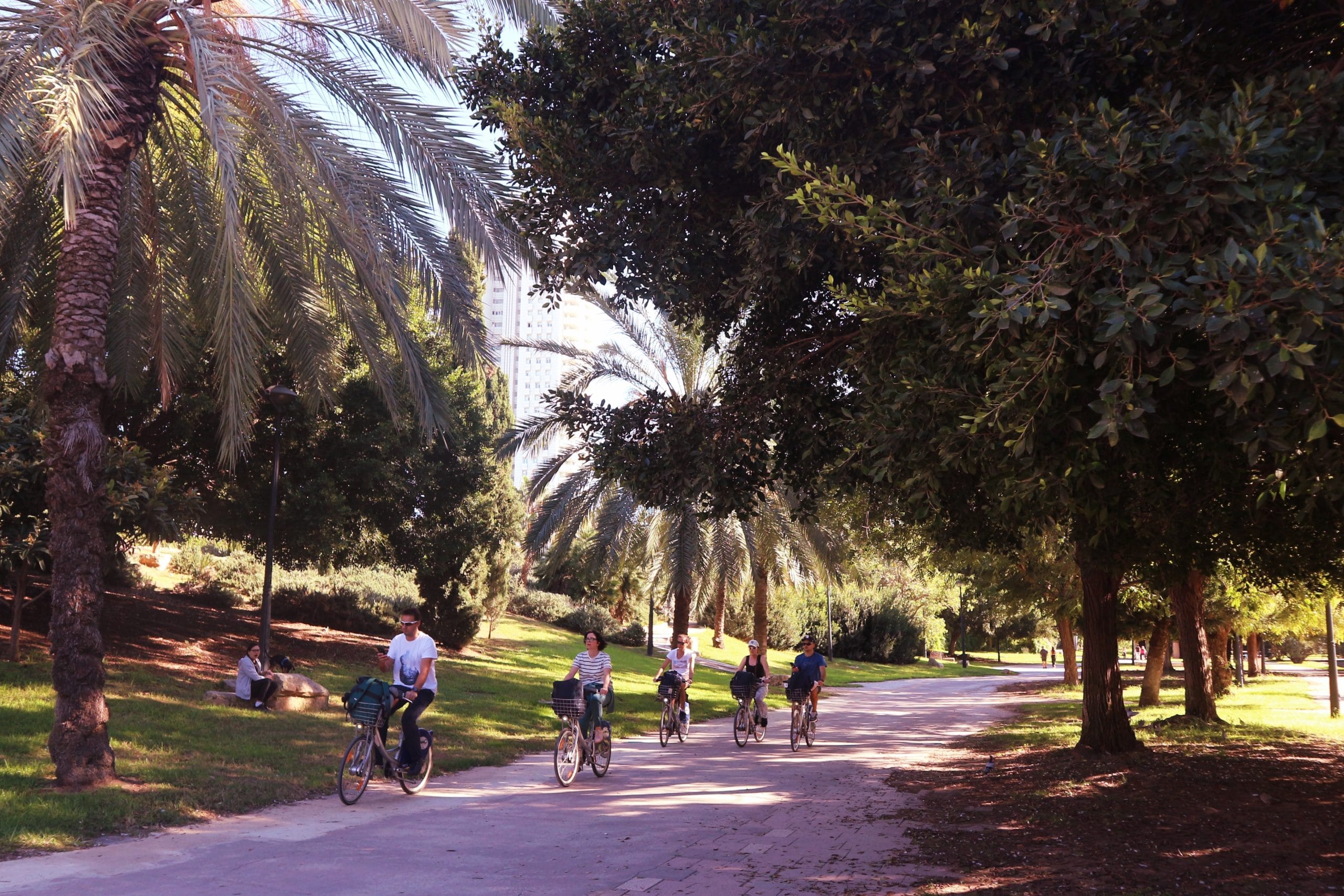 group cycling on a valencia bike tour