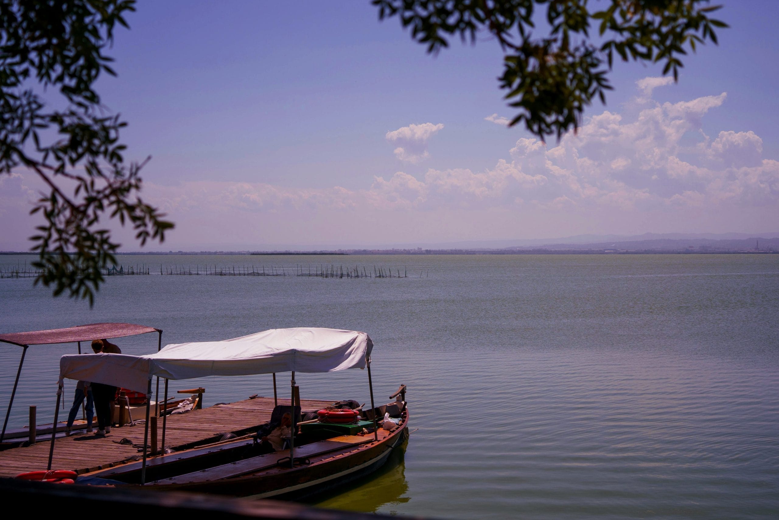 la albufera park included in our personalised tour valencia